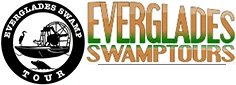 evergladesswamptours.com