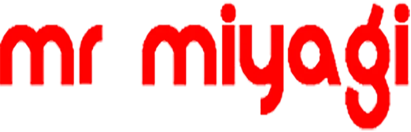 mr-miyagi.nl